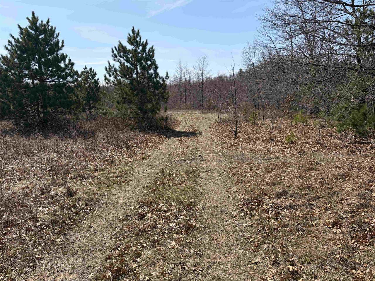 40 acres Town Hall Road - Photo 1