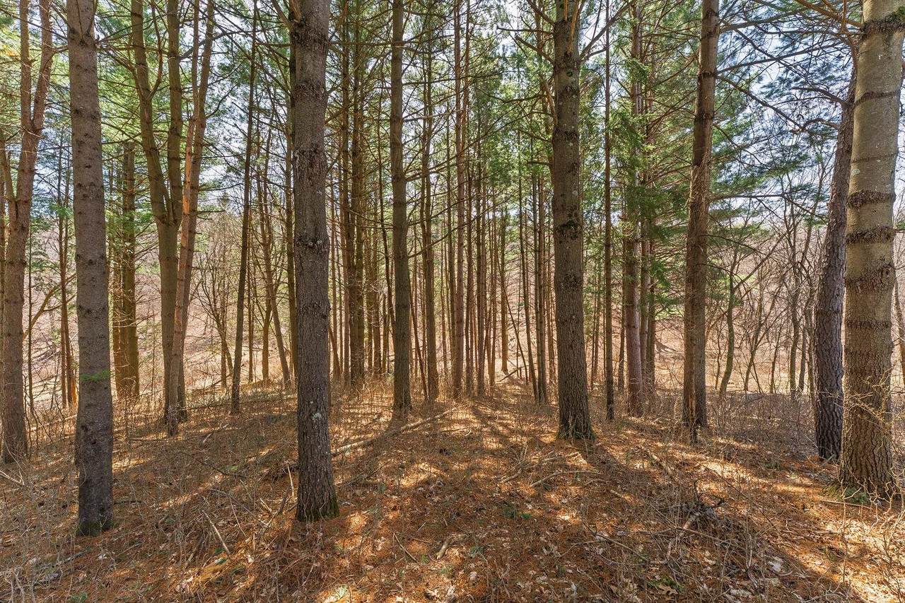 Lot 63 Staghorn Court - Photo 1