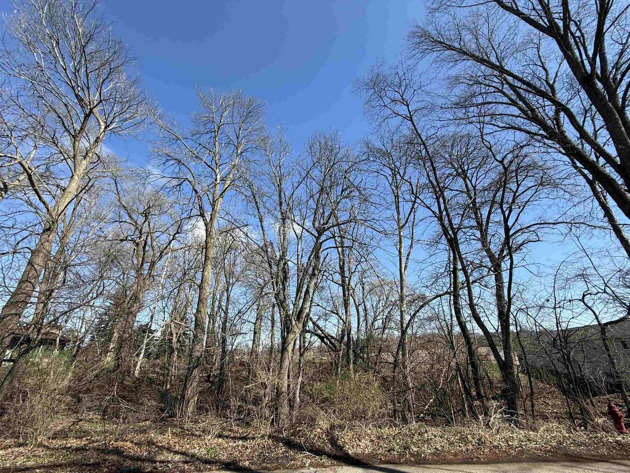 Lots 1 & 2 Breezy Point Drive - Photo 1