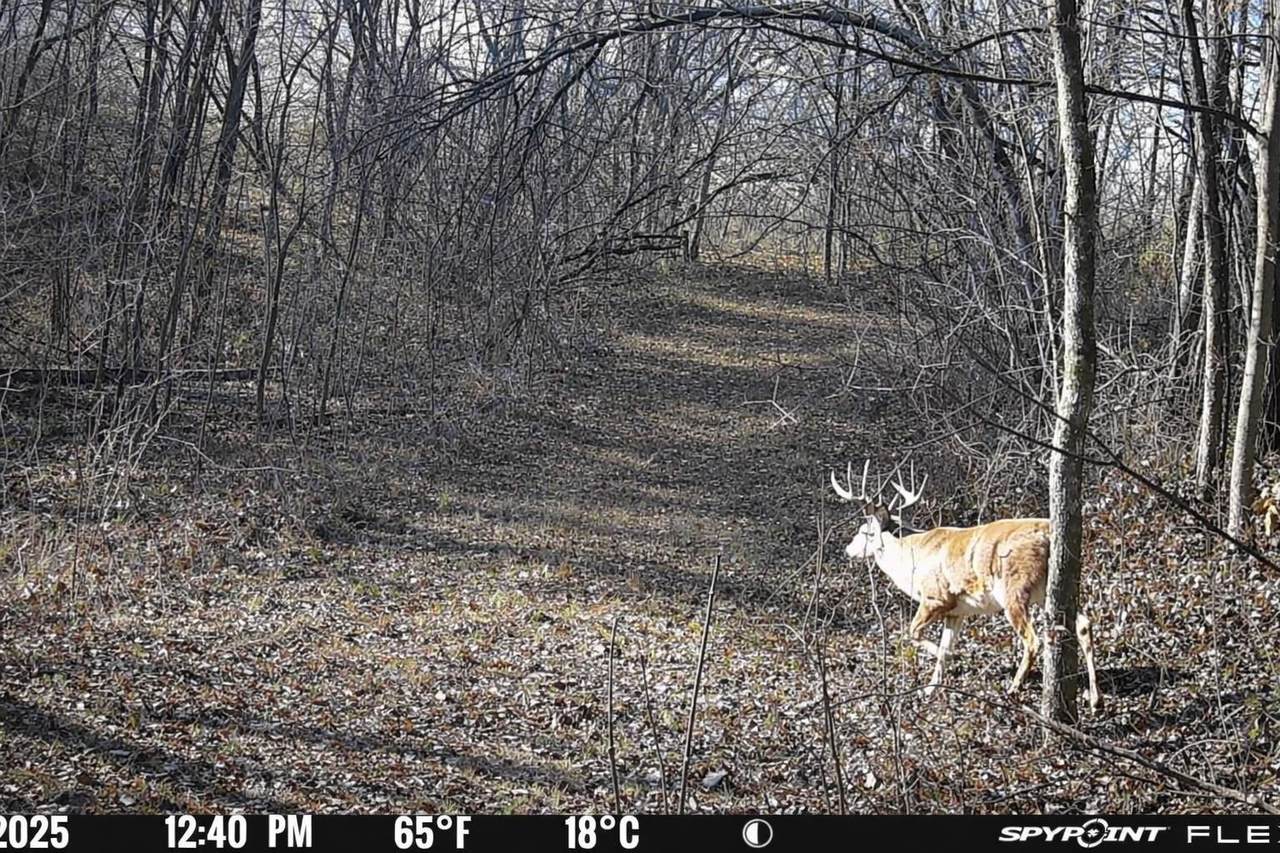 59 +/- Ac State Hwy 80 - Photo 1