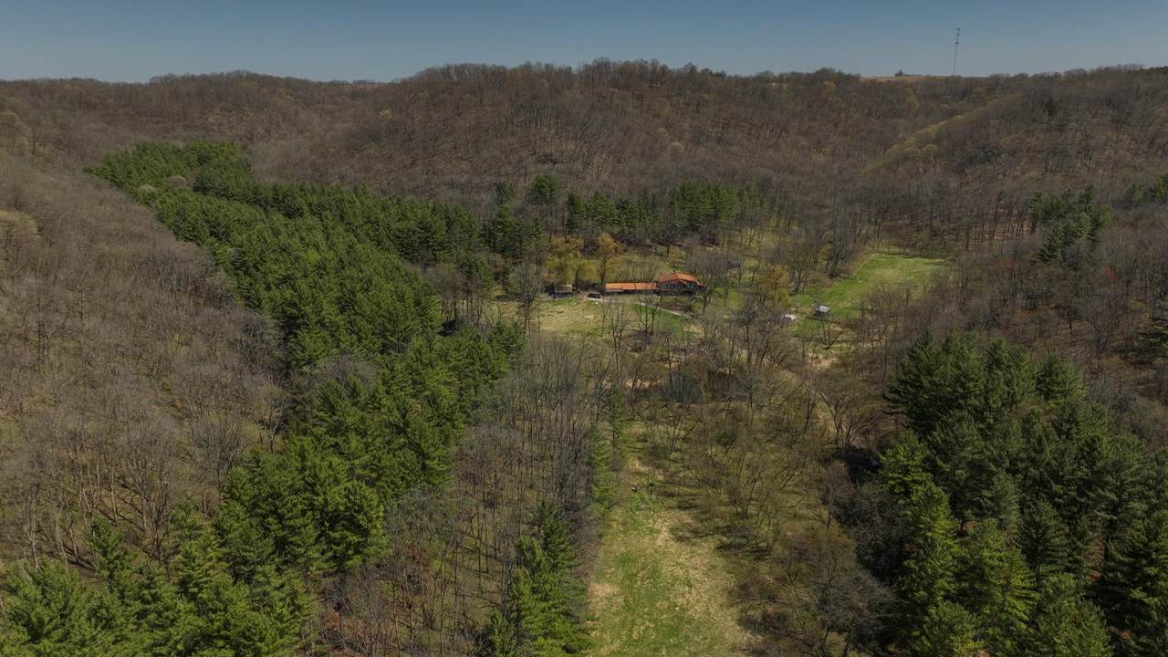 17658 Forest Lane - Photo 1