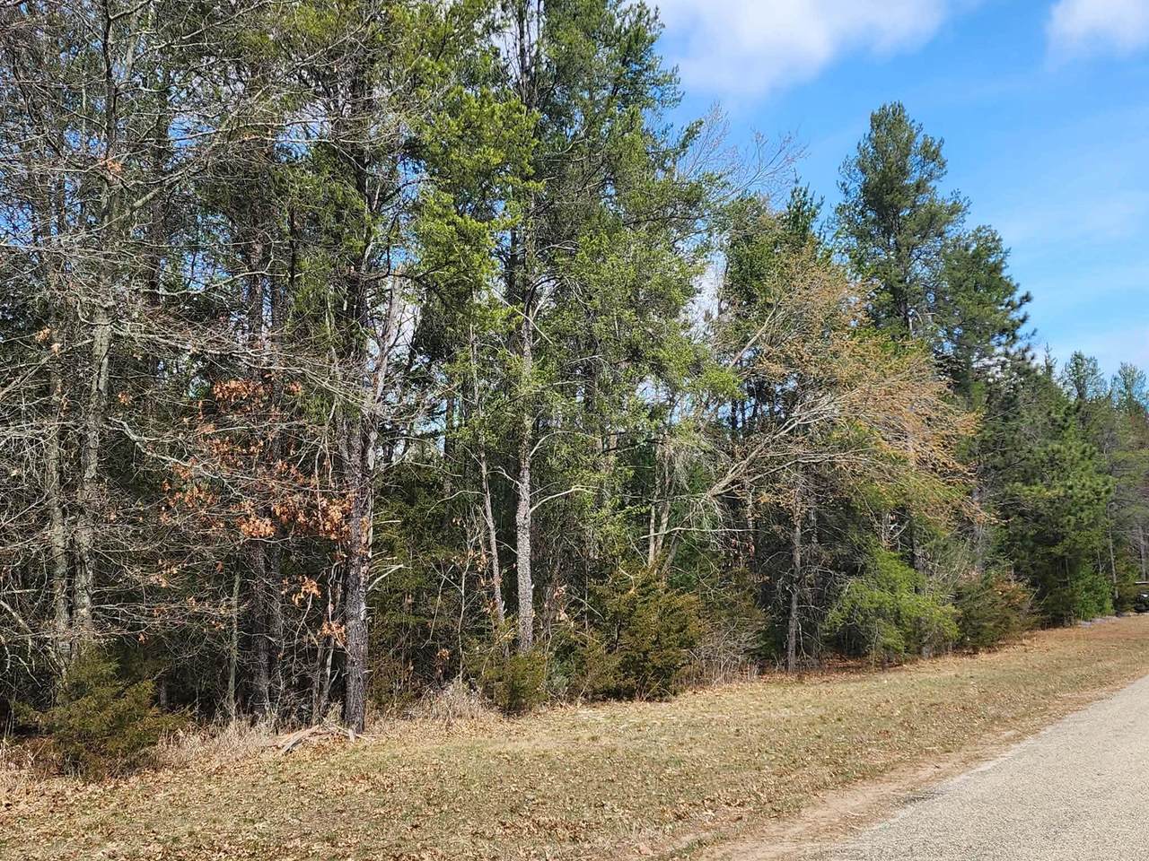  Dover Drive - Photo 1