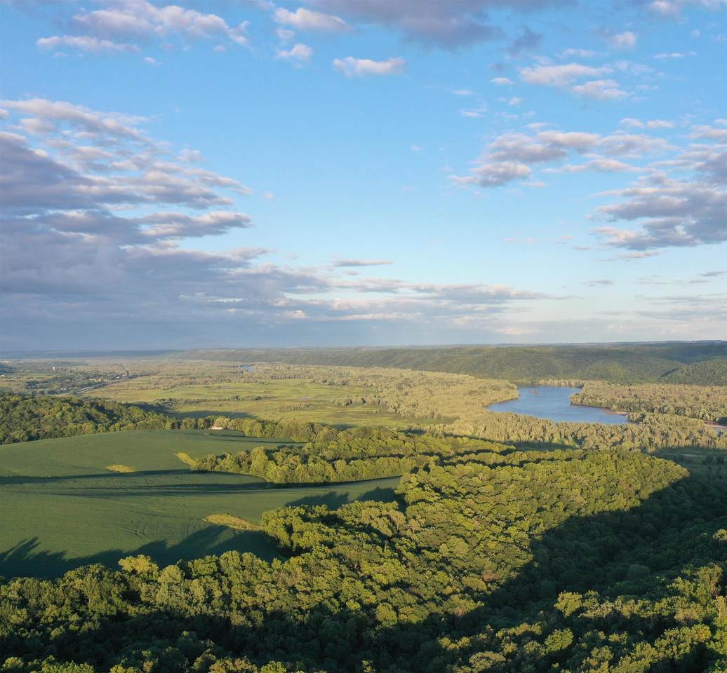 TBD 208 Acres Cottontail Lane - Photo 1