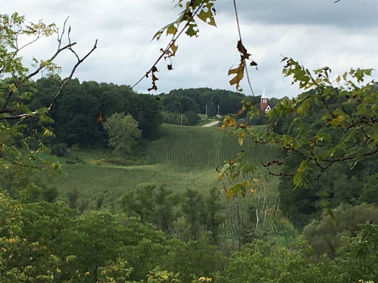 9701 Union Valley Rd - Photo 1