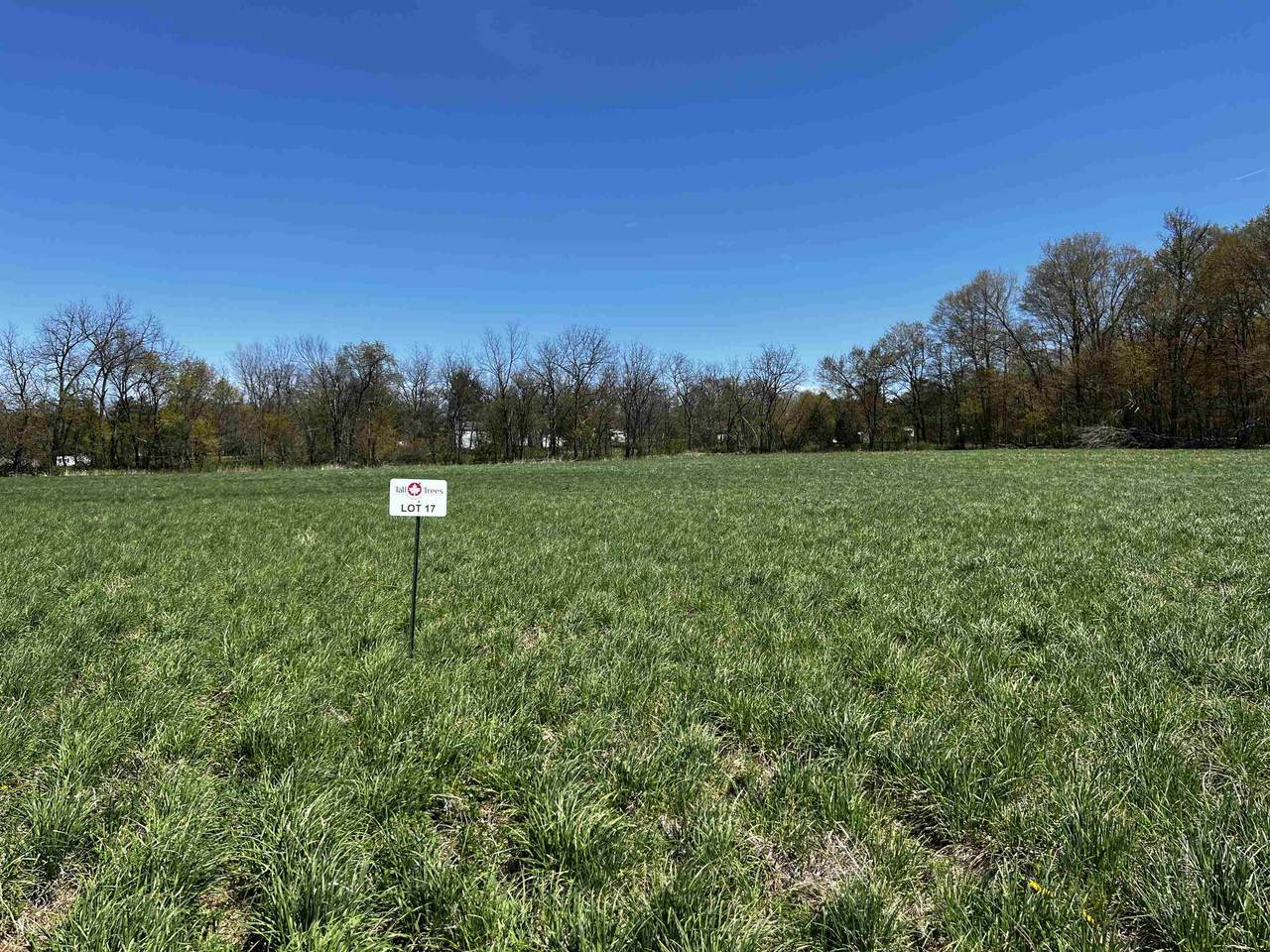 L17 Forest View Drive - Photo 1