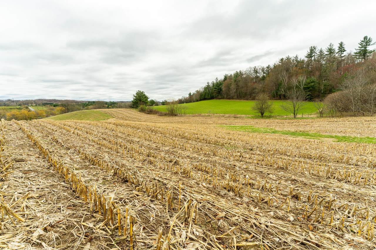 Lot 2 Blackberry Avenue - Photo 1