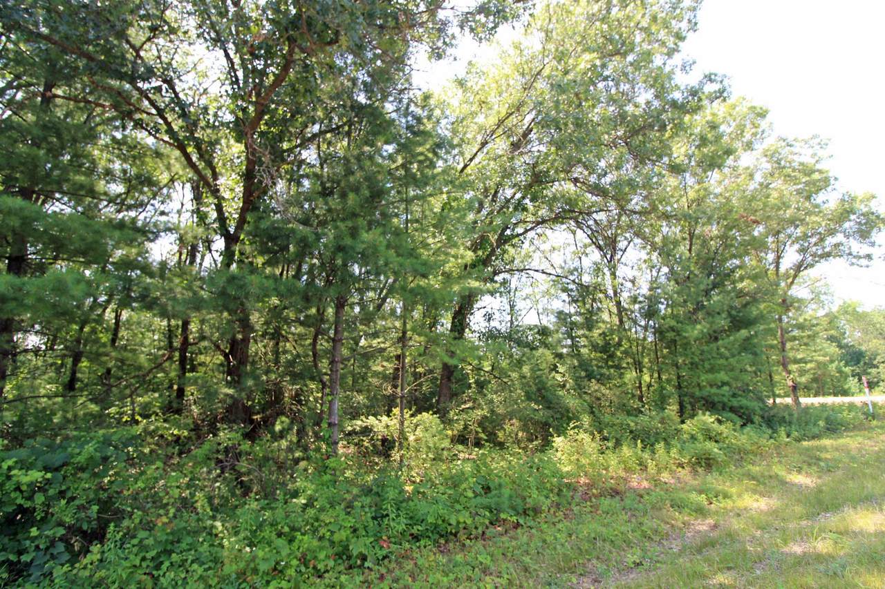 Lot14 Timber Trail - Photo 1