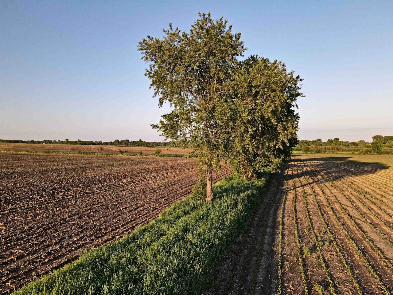 92.93 M/L Acres Twin Lane Road - Photo 1