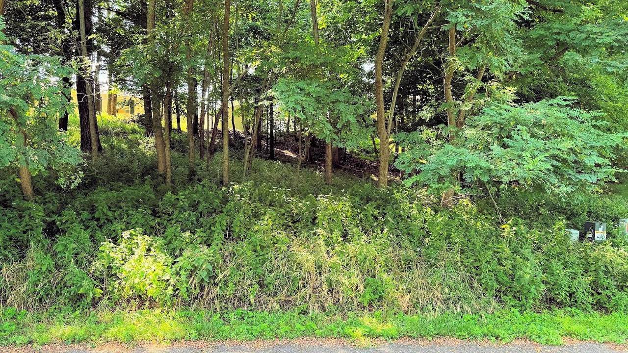 77 Morningside Road - Photo 1
