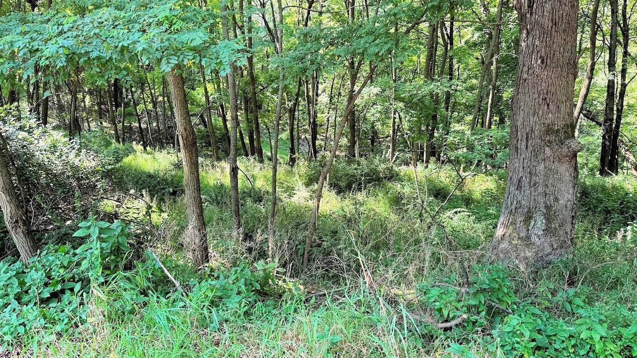 58 Redhawk Trail - Photo 1
