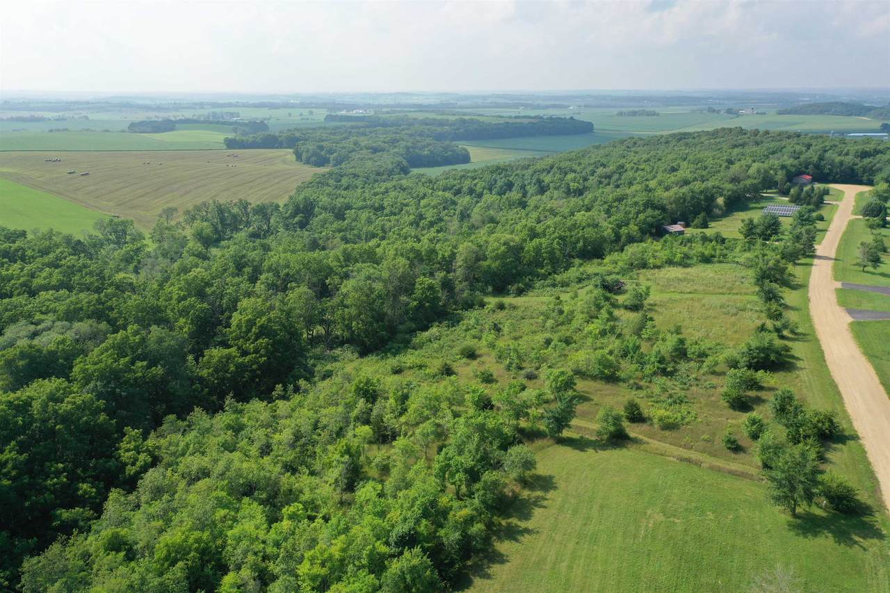 10.45 Acres Ringhand Rd - Photo 1