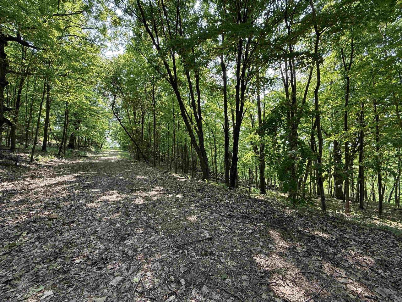 L10-13 Eggbrecht Road - Photo 1
