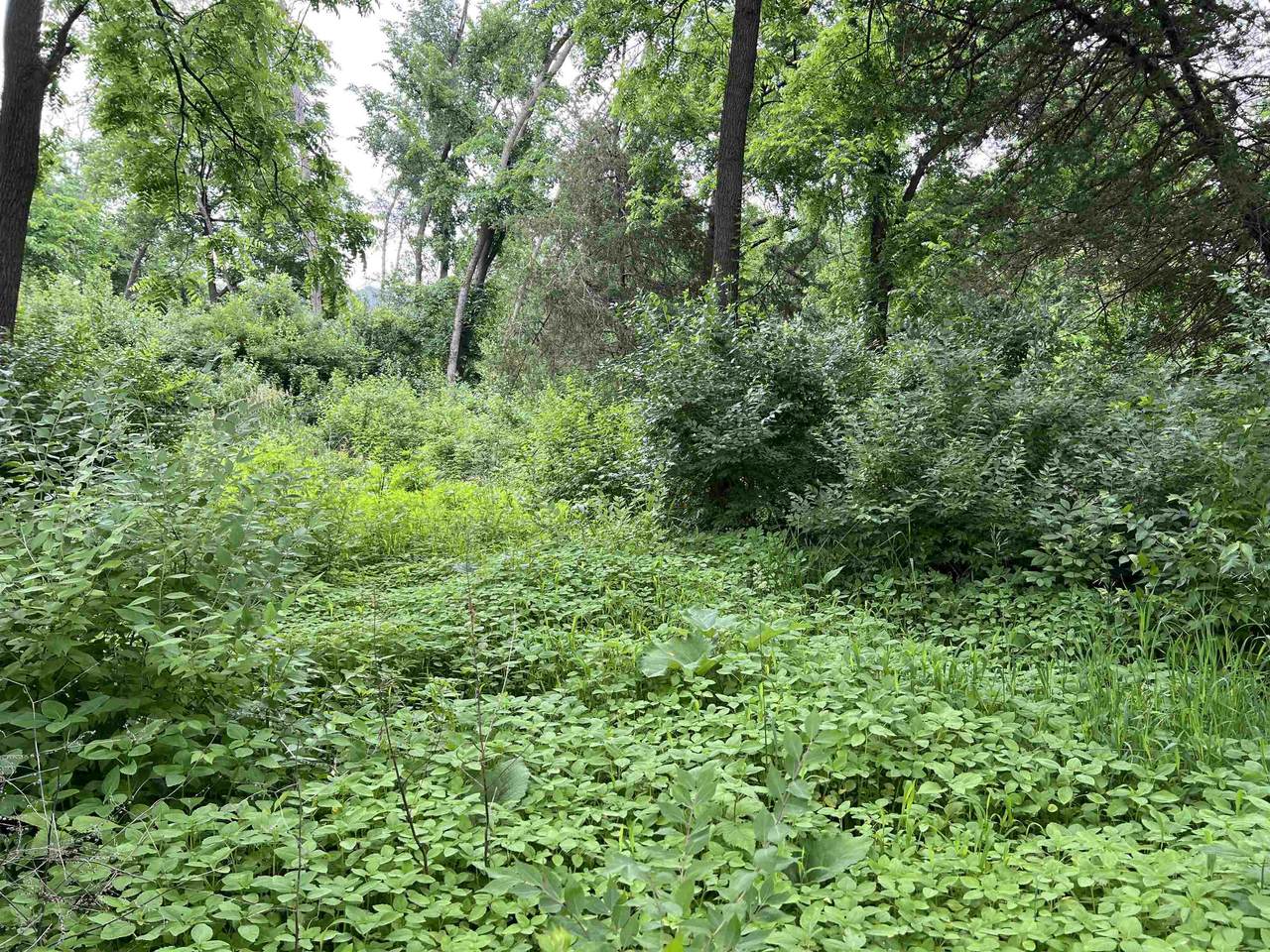 30933 Slow Lane - Photo 1