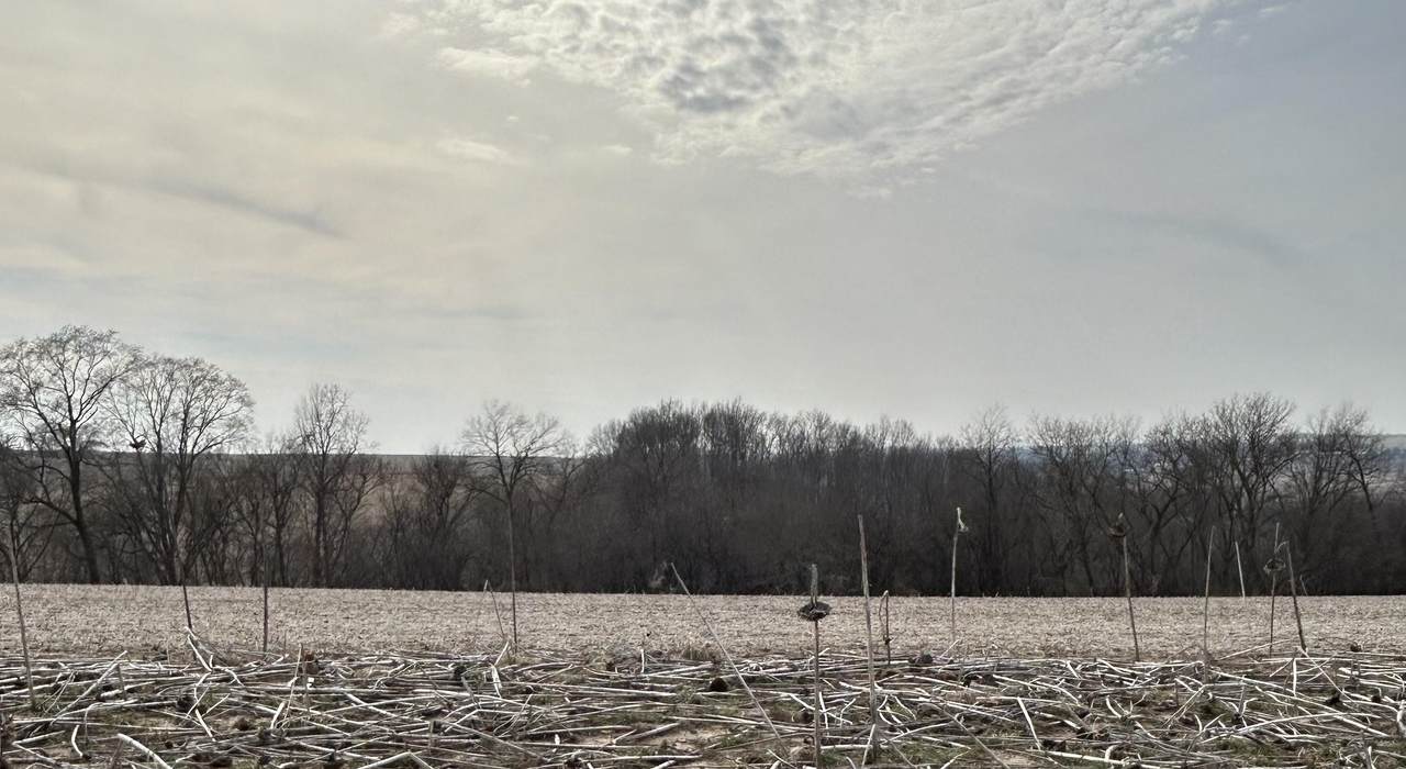 Lot 28 Ridge Point Estates - Photo 1