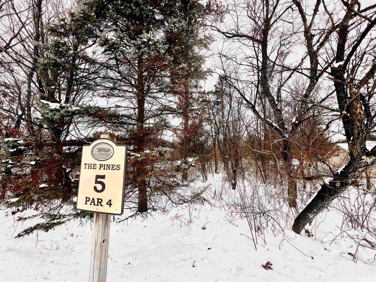 456 Tomahawk Trail - Photo 1