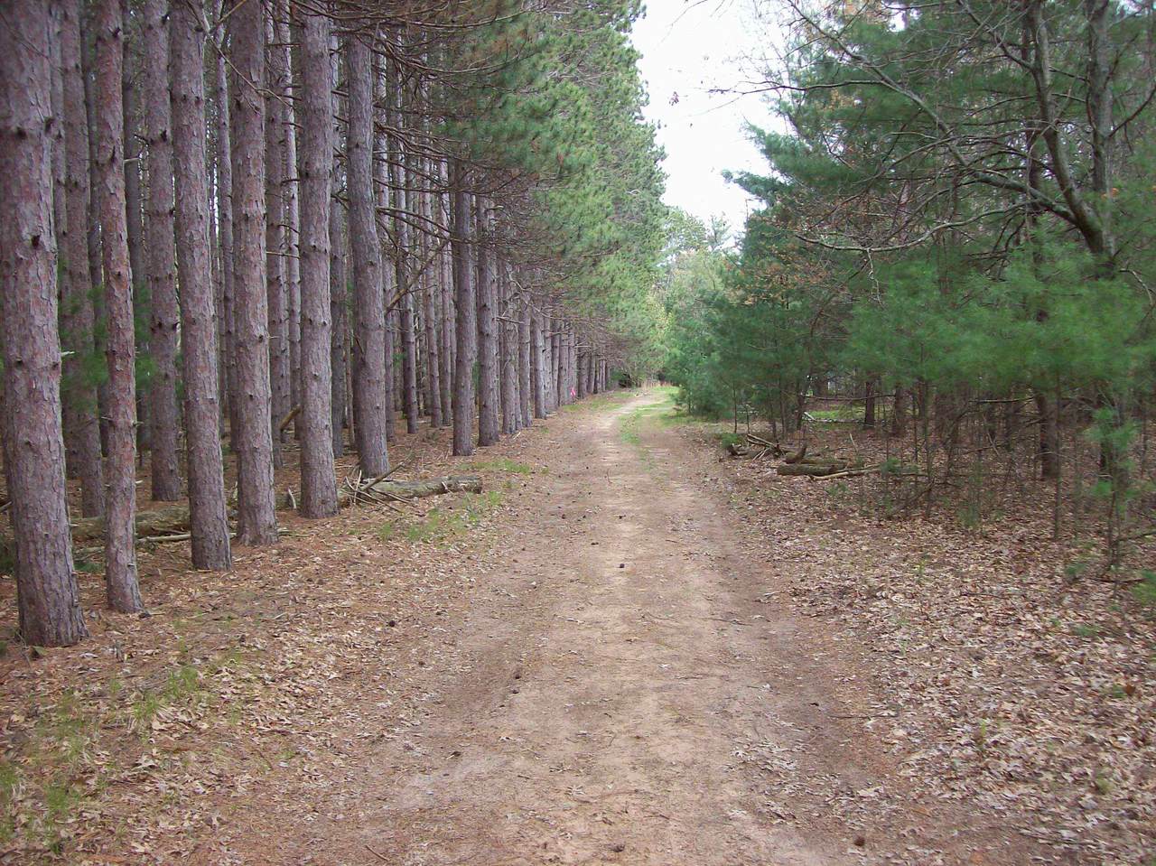 Lot 2 Meiller Road - Photo 1