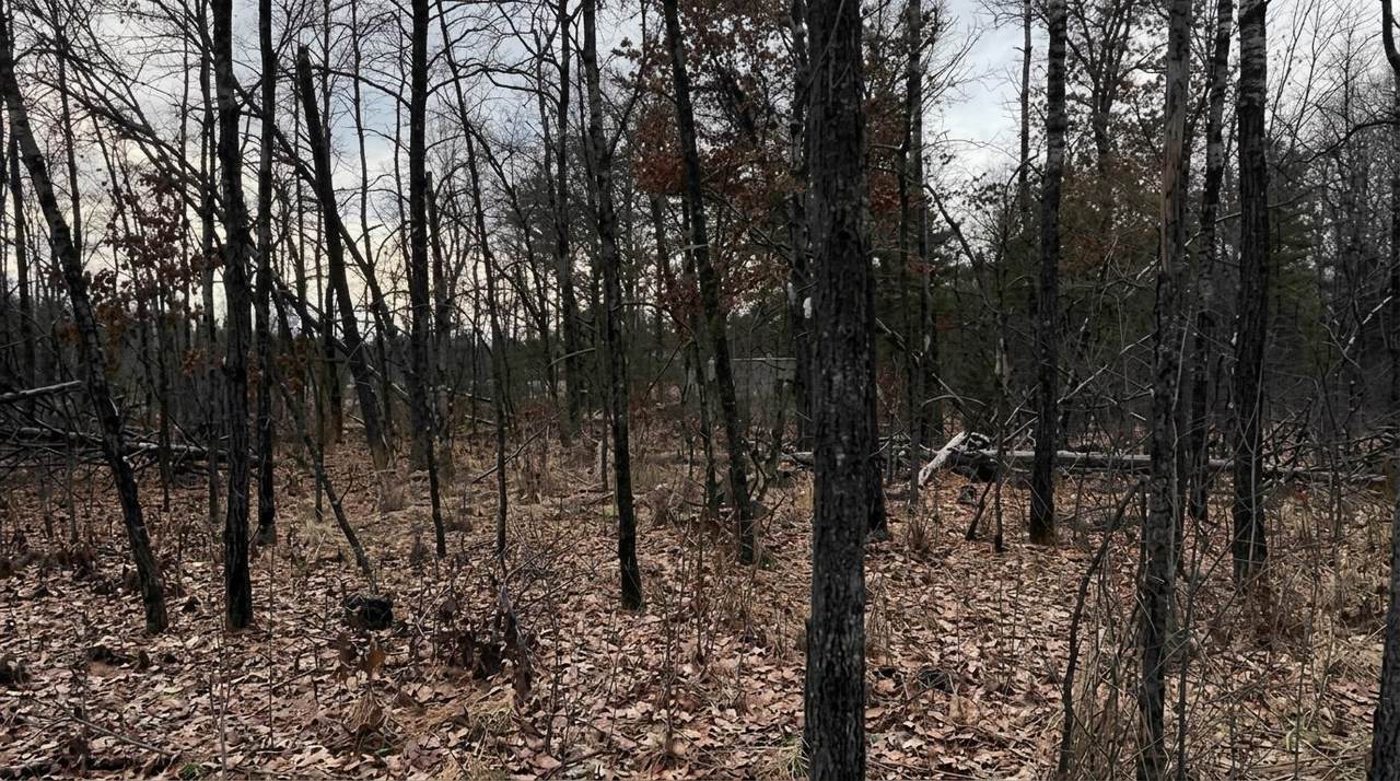 1.50 Acres Retirement Lane - Photo 1