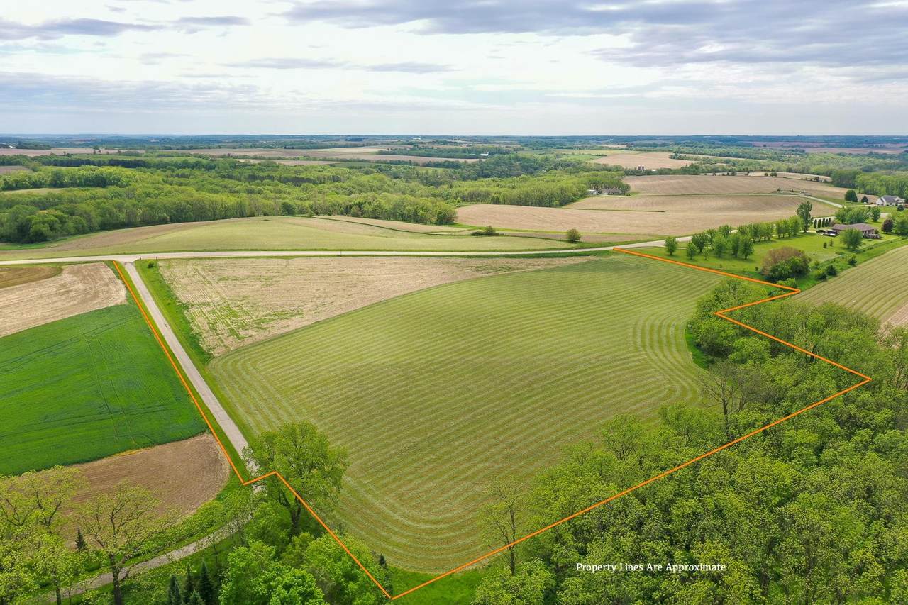 10.2 Acres State Highway 78 - Photo 1