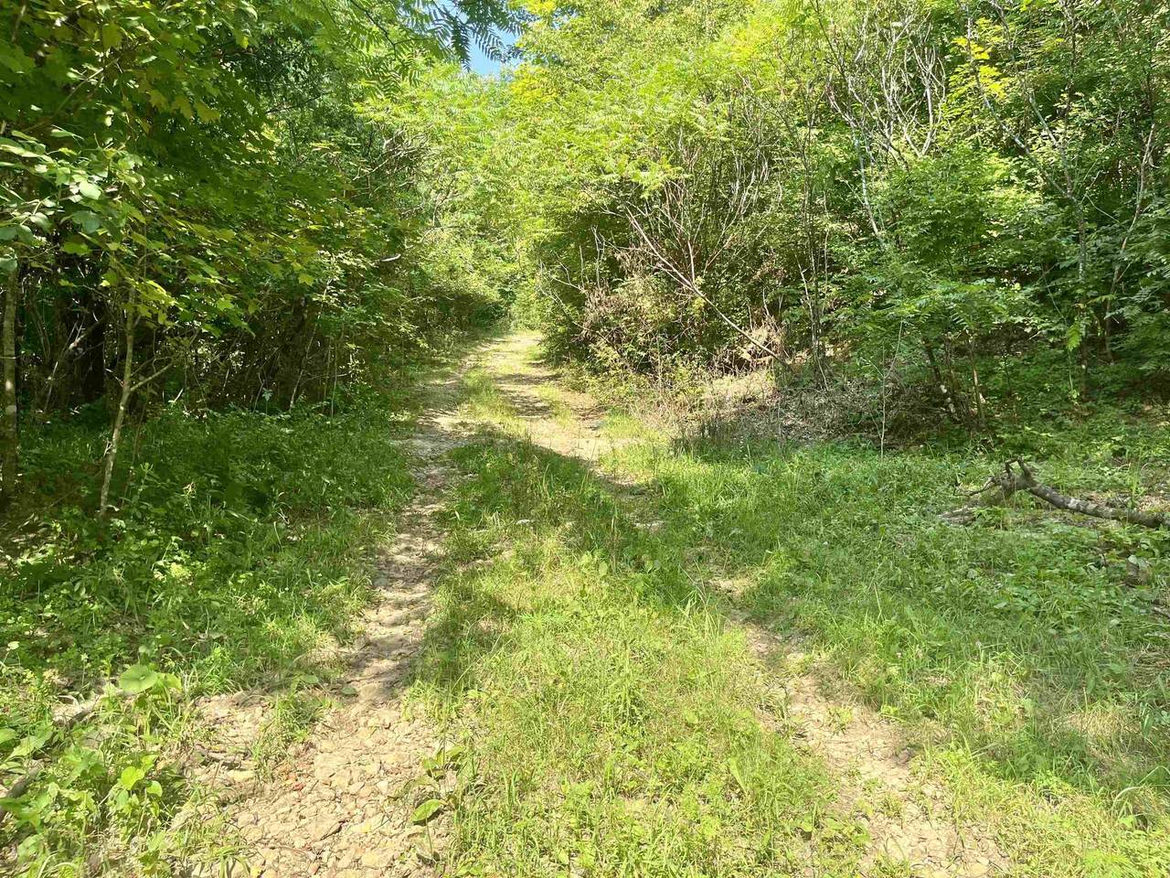  79 Acres, Byers Rd - Photo 1