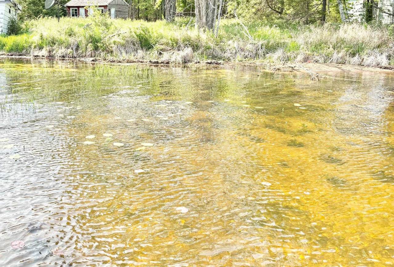 1134 Roberts Road - Photo 1