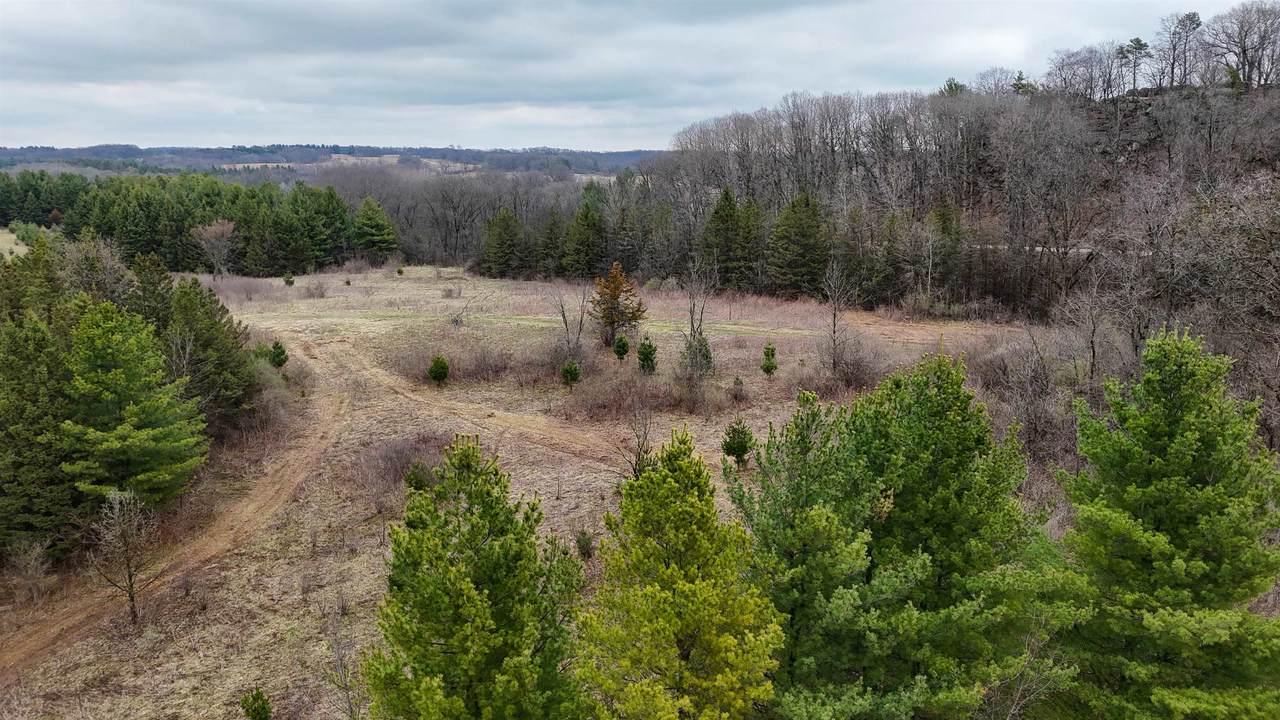 +/-80ac Knobs Road - Photo 1