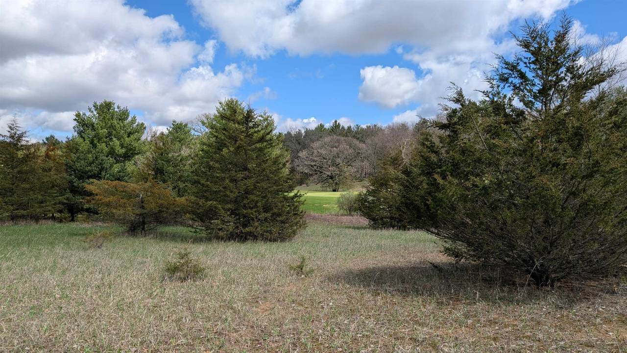 L51 Eagle Circle - Photo 1