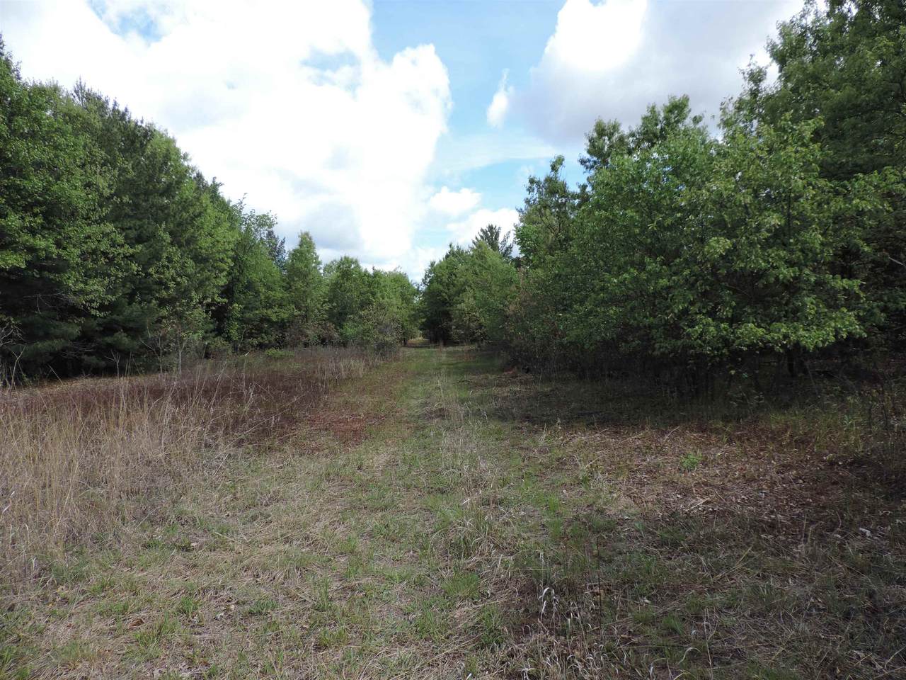 9999 Tessa Drive - Photo 1
