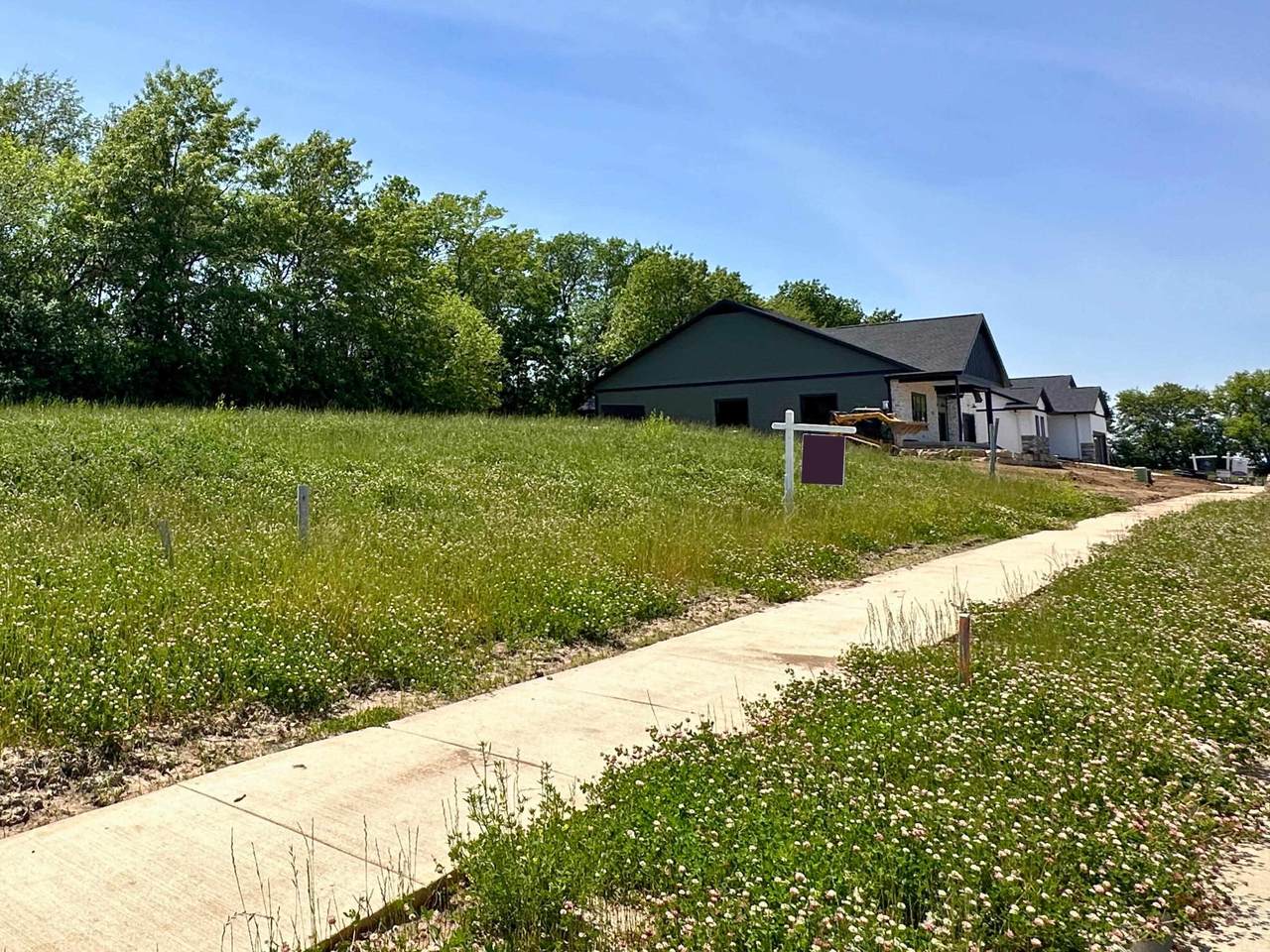 2917 Wild Goose Way - Photo 1