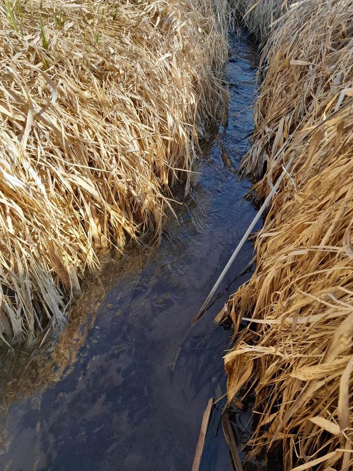Approx 9 acres Highway 35/61 - Photo 1