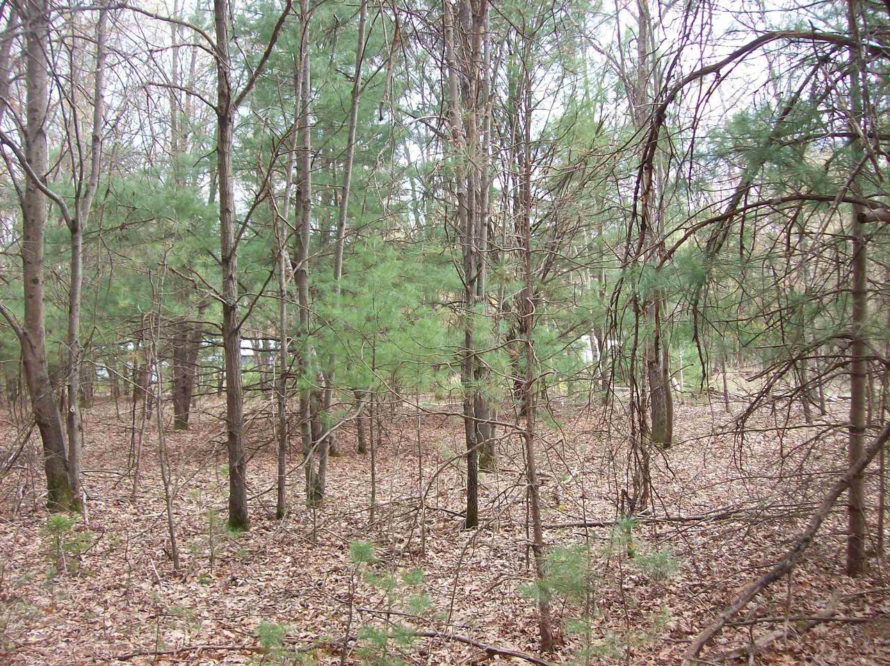 https://bt-photos.global.ssl.fastly.net/madison/1280_boomver_3_2013948-2.jpg