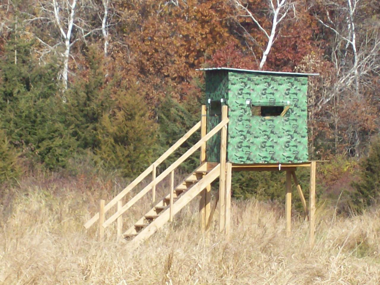  Wilcox Road - Photo 1