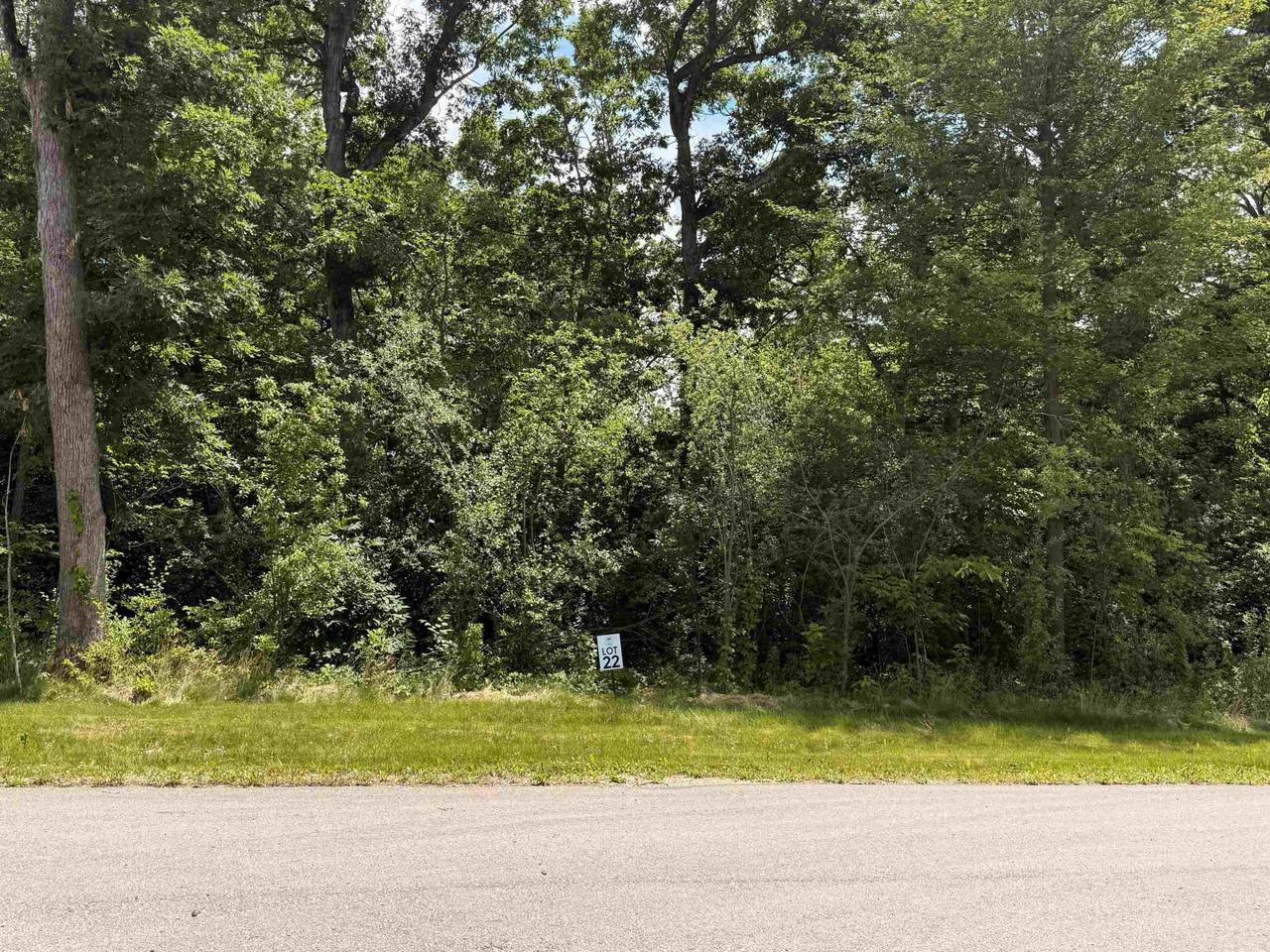 Lot 22 Lakestone - Photo 1