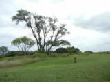 L3 Liuna Way - Photo 18