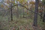 Lots 237 & 242 Woodland Trail - Photo 12