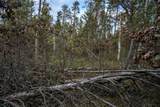 Lots 237 & 242 Woodland Trail - Photo 17