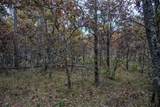Lots 237 & 242 Woodland Trail - Photo 19