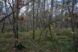 Lots 237 & 242 Woodland Trail - Photo 27