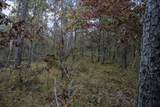 Lots 237 & 242 Woodland Trail - Photo 30