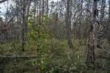 Lots 237 & 242 Woodland Trail - Photo 33