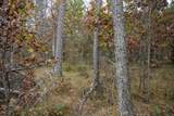 Lots 237 & 242 Woodland Trail - Photo 4