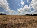 Lot 31 Diane Kay Way - Photo 4