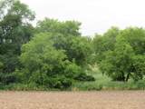 31.3 ac Marsh Trail - Photo 6