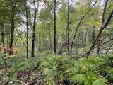 000 Fantail Avenue - Photo 35