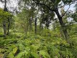 000 Fantail Avenue - Photo 40