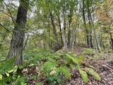 000 Fantail Avenue - Photo 45