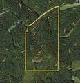 000 Fantail Avenue - Photo 49