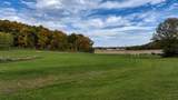 3.11 Acres Delmore Road - Photo 23