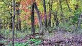 3.11 Acres Delmore Road - Photo 33