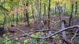 3.11 Acres Delmore Road - Photo 36