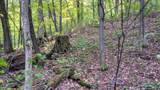 3.11 Acres Delmore Road - Photo 39